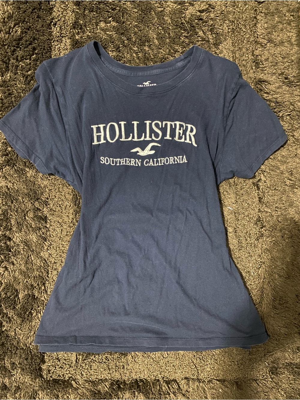 Hollister Navy Short Sleeve Southern California Logo Tee